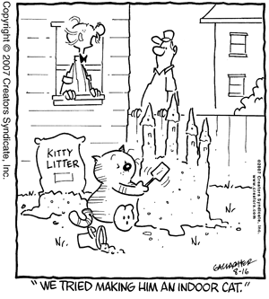 heathcliff